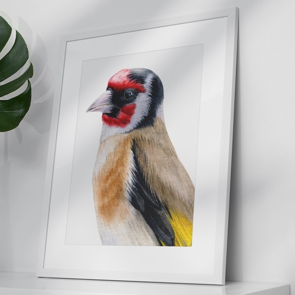 Watercolor Wall Art Goldfinch Bird Illustration Print Poster Unframed - Picture 5 of 9